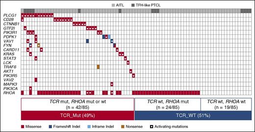 Figure 6. Mutual exclusivity of TCR signaling variants. The mutational status of TCR-related genes is represented for the 85 patients of the extended cohort. Genes other than RHOA are ranked by decreasing mutation frequency and show an essentially mutually exclusive mutation pattern. In total, 49% of cases were mutated in 1 or several TCR-related gene(s) other than RHOA (hereafter considered as TCR_Mut), 28.5% were mutated in RHOA only, and 22.5% harbored no mutation in any of the genes tested (collectively considered as TCR_WT).