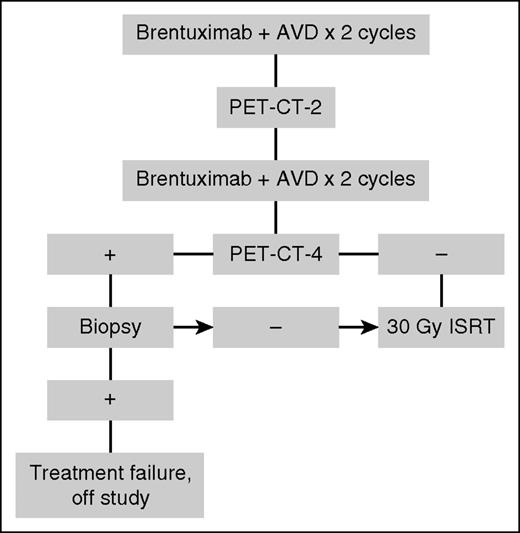 Figure 1. Treatment schema.
