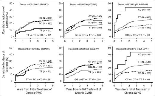 Figure 1. Cumulative incidence frequencies of sclerosis in patients with chronic GVHD, according to rs10516487 (BANK1), rs2056626 (CD247), and rs987870 (HLA-DPA1) genotypes in the donors and recipients. Black solid lines represent groups with the homozygous minor allele, gray solid lines represent groups with the homozygous major allele, and dotted black lines represent heterozygotes.