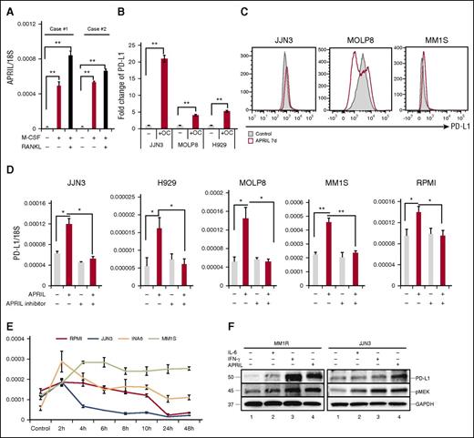 Figure 4. APRIL induces PD-L1 expression on human MM cell line cells mainly via paracrine mechanism. (A) CD14+ monocytes were stimulated with M-CSF and/or RANKL for 14 days. APRIL expression in these cells was examined by real-time qRT-PCR; 18S was used to normalize APRIL expression. (B) Transwell experiments were performed in which MM cells were placed in the upper chamber and medium alone, or OCs were placed in the lower chambers. After 4 days, mRNA was collected from MM cells and subjected to real-time qRT-PCR for APRIL normalized to 18S. Fold increases compared with controls were shown. (C) MM cell lines were cultured with APRIL (200 ng/mL) for 7 days and PD-L1 expression was examined by flow cytometry. (D) MM cell lines were treated with human recombinant APRIL and/or anti-APRIL mAb (200 ng/mL) for 4 hours, and PD-L1 expression was examined by real-time qRT-PCR. (E) Indicated MM cell lines were stimulated with APRIL and PD-L1 expression was examined by real-time qRT-PCR. (F) MM1R and JJN3 cells were cultured with IFN-γ (500 IU/mL, 24 hours), IL-6 (10 ng/mL, 48 hours), and APRIL (200 ng/mL, 7 days). PD-L1 and pMEK1/2 expression was assessed by immunoblotting of cell lysates. *P < .05; **P < .001; by unpaired 2-sided Student t test.