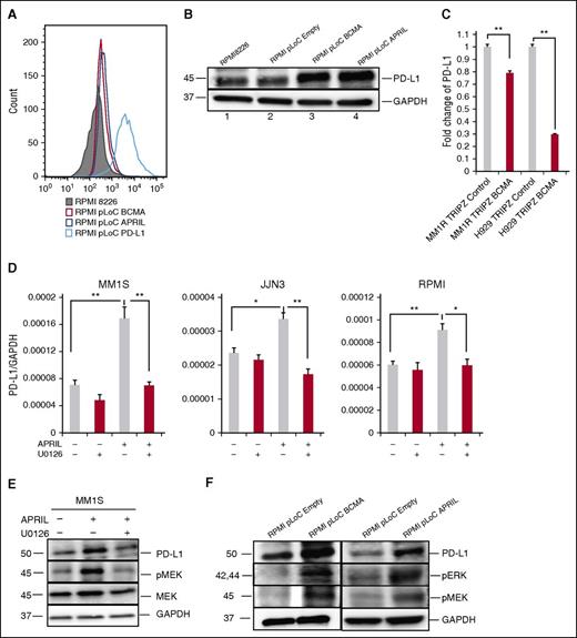 Figure 5. The MEK/ERK pathway plays an important role in APRIL-induced PD-L1 expression in MM cells. (A-B) PD-L1 expression was examined by flow cytometry (A) and immunoblotting (B) in indicated RPMI 8226 transfectants. (C) PD-L1 mRNA expression was examined in BCMA knockdown (MM1R-TRIPZ-BCMA and H929-TRIPZ-BCMA) vs control MM cells by real-time qRT-PCR. Fold changes of PD-L1/18S to control were shown. (D) MM cells were treated with APRIL and/or U0126 molecules (100 nM) for 4 hours. PD-L1 expression was examined using real-time qRT-PCR; (F) PD-L1, pERK, and pMEK was examined by immunoblotting in indicated cells. (E) Serum-starved MM1S cells were pretreated with U0126 (100 nM) followed by APRIL stimulation. Cell lysate was collected and subjected to immunoblotting with indicated Abs. Shown is mean ± SD from 3 independent experiments. *P < .05; **P < .001; by unpaired 2-sided Student t test.