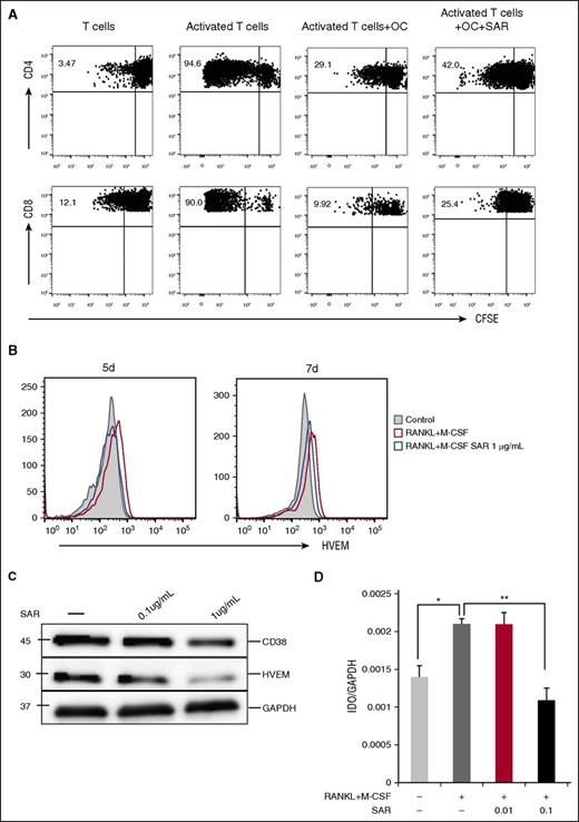Figure 7. Anti-CD38 Ab restores T-cell response. (A) Proliferation of T cells stimulated by anti-CD2/CD3/CD28 beads (T:Bead ratio of 1:1) in the absence or presence of SAR anti-CD38 Ab (1 μg/mL) for 6 days was measured with CFSE dilution assay. (B-D) After CD14+ monocytes were stimulated with recombinant RANKL and M-CSF for 7 days, SAR anti-CD38 Ab was added for 7 days, and cells were examined for HVEM by flow cytometry (B), western blotting (C), and IDO1 by real-time qRT-PCR (D). *P < .05; **P < .001; by unpaired 2-sided Student t test.