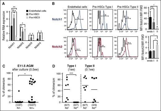 Figure 1. Expression of Notch receptors in HSC lineage in AGM region. (A) Expression levels of Notch receptors assessed by qRT-PCR in endothelial cells (VC+CD45−CD43−), pre-HSC type I (VC+CD45−CD43+) and pre-HSC type II (VC+CD45+) sorted from the E11.5 AGM region (n = 3). Data are mean ± standard error of the mean (s.e.m.). *P < .05, **P < .01. (B) Expression of Notch1 and Notch2 in HSC lineage. FACS analysis representing Notch1 or Notch2 presence at the surface of endothelial cells (VC+CD45−CD41−), pre-HSC type I (VC+CD45−CD41+) and pre-HSCs type II (VC+CD45+) in the E11.5 AGM region (n = 3). The graphs on the right indicate mean fluorescence intensity (MFI) ratios between Notch1 or Notch2 and their respective FMO controls during the endothelial-to-pre-HSC transition in 3 independent experiments. Data are mean ± s.e.m. *P < .05. (C) All functional pre-HSCs express Notch1. E11.5 AGM cells were sorted based on Notch1 expression and 2 populations (Notch1+ and Notch1−) were coaggregated with OP9 cells and cultured for 5 days before transplantation into irradiated mice in order to functionally assess the presence of pre-HSCs (0.5 ee per recipient). n = 2; *P < .05, Mann-Whitney U test. (D) Notch2 is expressed in functional pre-HSC type II, but not in pre-HSC type I. E11.5 VC+CD45− cells (type I) and VC+CD45+ (type II) were sorted based on Notch2 expression level and coaggregated with OP9. After 5 days of culture, they were injected into irradiated recipients (pre-HSC type I: 1 ee per recipient; pre-HSC type II: 0.1 ee per recipient); n = 2; ***P < .005, Mann-Whitney U test. ns, nonsignificant, t test.