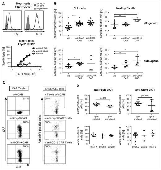 Figure 4. Anti-FcμR CAR T cells specifically lyse CLL cells but spare healthy B cells. (A) Mec-1 cells express FcμR and CD19 as revealed by flow cytometry after staining with the FITC-conjugated anti-FcμR mAb 6B10 or the PE-conjugated anti-CD19 antibody (bold line). Staining with an isotype-matched antibody served as control (gray histograms). T cells engineered with the anti-FcμR CAR and the anti-CD19 CAR, respectively, were coincubated in increasing numbers with FcμR+ CD19+ Mec-1 leukemia cells (1.5 × 104 cells/well). Unmodified T cells (w/o CAR) served as control. Specific lysis toward Mec-1 cells was determined after 48 hours by the XTT-based viability assay. (B) T cells from healthy donors were engineered with the anti-FcμR CAR and anti-CD19 CAR, respectively, or T cells without CAR (w/o) were co-incubated with patients’ CLL cells or healthy donor B cells (105 cells each) for 24 hours in an allogeneic setting (CLL cells, n = 11; B cells, n = 4). Alternatively, patients’ T cells were engineered with the respective CAR and incubated with the autologous CLL cells (n = 4). Engineered T cells of healthy donors were coincubated with the respective autologous B cells (n = 4). The CAR T-cell-to-target cell ratio was 5:1. CLL and healthy B cells were labeled with CFSE (0.83 μM) prior to coincubation to discriminate CLL and healthy B cells vs T cells. Staining of CLL and B cells for Annexin V was recorded by flow cytometry. Each dot represents an individual target cell donor. Statistic calculations were performed using the Student t test, *P < .05; ***P < .001; ns, not significant. (C) An example demonstrating killing of CLL cells by modified autologous CAR T cells. T cells from a CLL patient were modified with the respective CARs, and the CAR was recorded by flow cytometry using the PE-conjugated anti-IgG antibody, which binds to the CAR extracellular IgG1 domain and with the FITC-conjugated anti-CD3 antibody (left panel). Unmodified T cells (w/o CAR) were used as control. Numbers represent the percentage of T cells with CAR compared with the total number of T cells. T cells were cocultivated with autologous CLL cells in a CAR T-cell-to-CLL cell ratio of 5:1 for 24 hours, and the number of apoptotic CLL cells was determined by staining with APC-conjugated Annexin V (right panel). CLL cells were labeled with CFSE prior to coincubation to discriminate CLL cells from T cells. (D) CLL cells harbored an unmutated (n = 4) or mutated (n = 9) immunoglobulin heavy chain variable region (IgVH) status. Patients were in Binet stage A (n = 7), stage B (n = 3), or stage C (n = 5) (Table 2). Anti-FcµR CAR T cells showed an increased killing of CLL cells with an IgVH muted status compared with CLL cells with unmutated IgVH (P = .013). No significant differences in CAR T-cell killing of CLL cells were obtained from patients in different Binet stages. Each dot represents an individual CLL patient. Data represent the mean ± SD.
