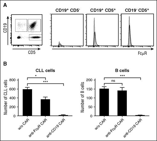 Figure 6. Selective targeting of patient’s CLL cells in the presence of healthy B cells by anti-FcµR CAR T cells. (A) Peripheral blood lymphocytes (0.5 × 106 cells) from a CLL patient were stained with the APC-conjugated anti-CD5 mAb and the PE-conjugated anti-CD19 mAb. The cell populations (CD19+ CD5− non-CLL B cells, CD19−CD5+ T cells, CD19+ CD5+ CLL cells) were recorded for FcµR using the FITC-conjugated anti-FcµR mAb 6B10 (black line). An isotype-matched control antibody served as control (gray histogram). Histograms exemplarily show FcµR levels of each subpopulation. (B) T cells with and without anti-FcμR CAR and anti-CD19 CAR, respectively, were coincubated with PBMCs from a CLL patient (105 cells) in an effector-to-CLL cell ratio of 5:1 for 24 hours. Cells were stained with the FITC-conjugated anti-CD5 mAb and the PE-conjugated anti-CD19 mAb. The number of CD19+ CD5+ CLL cells and CD19+ CD5− healthy B cells in the same patient sample was recorded by flow cytometry. Bars represent the cell numbers; data represent the mean of triplicates ± SD. Statistical analysis was performed using the Student t test (*P < .05; ***P < .001; ns, not significant).