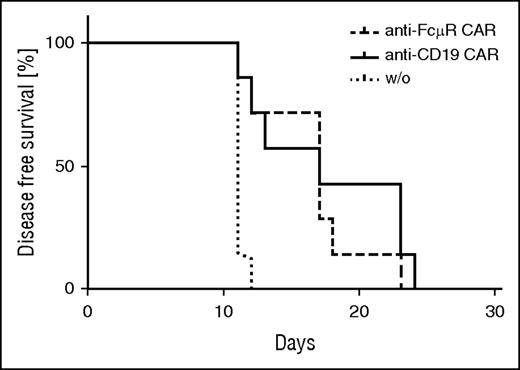 Figure 7. Anti-FcμR and anti-CD19 CAR T cells suppress growth of Mec-1 cells with similar efficiency in a xenogenic mouse model. Mec-1 cells (5 × 106/mouse) were intravenously coinjected with human CAR T cells (3 × 106/mouse) or without T cells for control into Rag2−/− cγ−/− mice (n = 7 per group). Mice were inspected every 1 to 3 days for neurological symptoms due to outgrowth of injected Mec-1 cells. Disease-free survival was recorded; data were presented in a Kaplan-Meier plot (anti-FcμR CAR T cells vs w/o T cells, P < .01; anti-CD19 CAR T cells vs w/o T cells, P < .01 as determined by the Log-rank test).