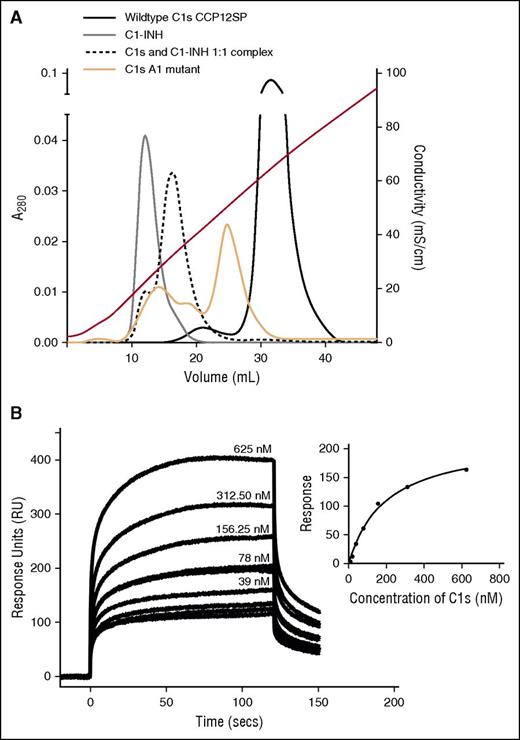 Figure 4. Interactions of C1-INH and C1s with heparin and polyP. (A) Analytical affinity chromatography indicates binding of heparin to C1s and C1-INH. C1-INH (gray line), plasma-derived C1s (black line), a 1:1 mixture of both (pre-incubated for 60 minutes at 37°C) (dotted black line), or the C1s A1 mutant (orange solid line), were separately applied to a HiTrap-Heparin column and eluted with a NaCl gradient as described in “Materials and methods.” Conductivity measurements are shown on the right-hand axis. Eluted fractions were analyzed by SDS-PAGE to confirm the identity of the proteins. (B) SPR was used to quantify binding of C1s (CCP12SP) to biotinylated polyP250 attached to streptavidin immobilized to the chip. A representative experiment (n = 3) shows curves for 0 to 625 nM C1s flowed over the immobilized polyP250. Inset: The response units obtained at equilibrium for each concentration of C1s were plotted and fitted using a one-site binding model on GraphPad Prism (regression coefficient = 0.99). Similar results were obtained in 2 additional independent experiments.