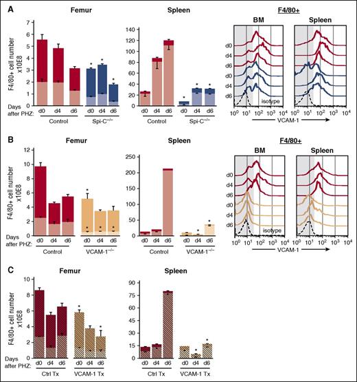 Figure 2. Total and CD11blo macrophage subsets are greatly reduced before and during E-stress response in Spi-C–deficient and VCAM-1–deficient mice. Numbers of CD11blo (lighter shades) and CD11bhi (darker shades) macrophages, as well as VCAM-1 expression in F4/80+ cells in the BM and spleen were determined at several points after PHZ challenge. (A) Spi-C–deficient mice (blue bars and lines, n = 3 for each time point). (B) VCAM-1 knockouts (peach bars and lines, n = 3 to 5 mice for each time point). (C) Normal irradiated recipients transplanted (Tx) with either normal donor cells (red hatched bars) or VCAM-1−/− donor cells (peach hatched bars, n = 5 for each time point). Red bars and lines represent the respective controls (n = 6 to 12 mice for each time point). Significant difference from control; *P < .05. Note that total F4/80+ cells are significantly reduced in mutant mice compared with their controls before and especially after PHZ challenge, mainly in the spleen. Far right panels in (A-B) indicate levels of VCAM-1 expression in total macrophages. Note that less VCAM-1 expression (lower MFI) is seen in Spi-C–deficient and virtually no expression in VCAM-1–deficient macrophages (low MFI VCAM-1 was seen in <10% of F4/80+ cells). Ctrl, control; d, day; MFI, mean fluorescence intensity.