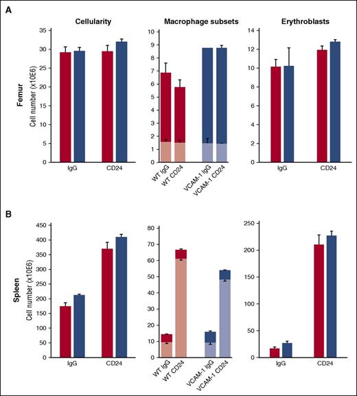 Figure 4. Dynamics of macrophage subsets CD11blo (lighter shades) and CD11bhi (darker shades) in response to aCD24 antibody treatment. WT (red bars) and VCAM-1−/− blue bars) mice were treated with aCD24 antibody or control immunoglobulin G (see “Methods”). Cellularity (left panels), macrophage (middle panels), and Eb (right panels) responses were followed in the BM (A) and spleen (B). Note the major changes after treatment in the spleen only. These data are consistent with the fact that the spleen and not the BM is the major source of SCF produced after CD24 engagement.47 SCF, stem cell factor.