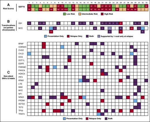 Figure 1. GEP70 risk, IgH, and MYC translocations and nonsilent mutations in selected genes. (A) The risk status according to the recently published 3-group GEP70 classifier11 is shown for the 33 patients. Intermediate-risk cases would be classified as low risk according to the classical GEP70.10 UAMS GEP groups are shown within the boxes, consisting of CD-1, CD-2, HY, LB, MS, MF, and PR. The upper and lower rows present the status at presentation and relapse, respectively. (B) IgH and MYC translocations were called from whole-exome sequencing data using MANTA16 and are shown with the corresponding translocation partner chromosome. C: Non-silent SNVs and indels in a set of genes previously implicated in the pathogenesis of MM.17,18 CoLRs indicate whether an abnormality was detected at presentation, relapse, or both.
