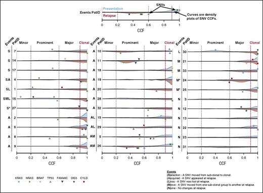 Figure 2. Cancer clonal fraction. The cancer clonal fraction (CCF) for somatic single-nucleotide variants in 7 genes that were mutated in at least 4 patients at presentation (top) and/or relapse (bottom) is depicted. In addition, a density plot for the cancer clonal fraction for all other nonsilent mutations (presentation: blue, relapse: red) is presented for each patient. Variant allele frequencies and copy numbers used for the calculation of CCFs were derived from whole-exome sequencing data. To describe changes in more detail, we classified clones containing these mutations as minor (<20% CCF), prominent (<60% CCF), or major (≥60% CCF) and called mutations with a CCF ≥90% clonal. Patients are ordered according to events: (S)election of subclonal mutation(s), (A)cquisition of a new SNV at relapse, (L)oss of a SNV at relapse, (M)ovement from one clonal classification to another, and (N)o changes.