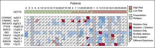 Figure 4. Aberrations affecting tumor-suppressor genes. Deletions and nonsilent mutations for 10 selected tumor-suppressor genes with a potential impact on MM pathogenesis.17,20 Mutations and copy number profiles were derived from whole-exome sequencing and high-resolution copy number arrays, respectively. Samples without high-resolution copy number data were excluded from the analysis but are shown as not available in the plot. The risk status was determined using the classical GEP70 classifier.
