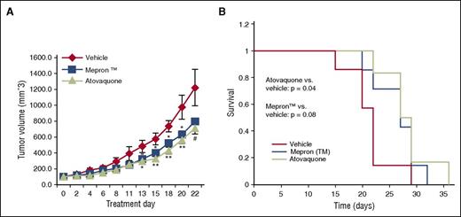 Figure 4. Atovaquone demonstrates in vivo antitumor activity in a murine model of multiple myeloma. (A) Following establishment of U266 tumor xenografts, mice were treated orally with vehicle (N = 7), atovaquone (N = 6), or brand-name Mepron suspension (N = 7). Tumor volume was assessed 3 times per week. Data are means ± standard error, and P values represent comparisons of atovaquone and Mepron to vehicle by 2-tailed Wilcoxon rank-sum test. #P < .10; *P < .05; **P < .01. (B) Kaplan-Meier survival plot of the mice described for panel A. P values comparing atovaquone or Mepron survival curves to that of vehicle were computed by 2-tailed log-rank test.