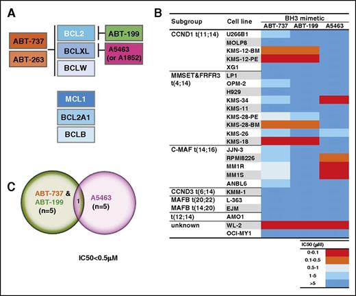 Figure 1. A subset of human myeloma cell lines are readily killed when BCL2 or BCLXL is inhibited with small molecules. (A) Selectivity of well-validated BH3 mimetic compounds for the prosurvival BCL2 proteins. Of the 6 human prosurvival BCL2 proteins, ABT-737 selectively targets BCL2, BCLXL and BCLW.23,24 ABT-263 (navitoclax) is a clinical candidate compound in the same chemical class as ABT-737, and has identical target selectivity.51 The BCL2 selective inhibitor ABT-199 (venetoclax) was developed by modifying ABT-263 such that its affinity for BCLXL and BCLW is reduced.17 Although ABT-737, ABT-263, and ABT-199 are related in their chemical structures, the BCLXL-selective inhibitors A-1155463 and A-1331852 (referred to as A5463 and A1852) belong to a structurally distinct class.20,25 (B) Sensitivity of diverse human myeloma cell lines to the BH3 mimetics. The sensitivity of the 25 myeloma cell lines (details provided in supplemental Table 1) to ABT-737, ABT-199, or A5463 was determined after culturing in 0 to 10 μM of the indicated compound for 48 hours. Cell viability was determined using the CellTiter-Glo assay. IC50 values were calculated using data from 3 independent experiments (eg, in supplemental Figure 1). A discrete heat map representation of the mean IC50s is shown in this panel (actual values are shown in supplemental Table 4): red represents potent killing (IC50 < 0.1 μM), whereas blue indicates resistance (IC50 > 5 μM). (C) Sensitivity of the multiple myeloma cell lines to the selective inhibition of BCL2 or BCLXL. Venn diagram summarizing the sensitivity of the cell lines tested to ABT-737, ABT-199, or A5463. Five lines (KMS-12-BM, KMS-12-PE, KMS-28-BM, KMS-18, and WL-2) are highly sensitive (arbitrarily defined as IC50 < 0.5 μM) to ABT-737, and in agreement with previous studies, the same lines are also very responsive to the BCL2-selective inhibitor ABT-199.11,12 The selective inhibition of BCLXL with A5463 is efficacious in a subset of 5 cell lines: 4 (KMS-34, RPMI-8226, MM1R, MM1S) are distinct from the ABT-737/ABT-199 sensitive ones.