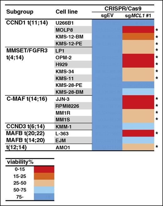 Figure 4. Many human myeloma cell lines are killed when MCL1 is genetically targeted. A panel of 19 myeloma cell lines was infected with a lentivirus that encodes for sgMCL1 #1 (described in Figure 3) or, as controls, the empty vector (EV). Cell viability was determined using the CellTiter-Glo assay 72 hours after the addition of DOX to induce expression of the sgRNA. A discrete heat map representation of the data is shown: red indicates very strong killing (cell viability reduced to <15%) when expression of the sgRNA is induced. In contrast, blue (>75% cell viability) indicates that the cells tolerated the genetic targeting of MCL1. *Fourteen cell lines in which expression of the sgMCL1 #1 reduced the viability by at least 50%. The results represent the mean values of 3 triplicate wells from a single experiment; the raw data are shown in supplemental Table 5.