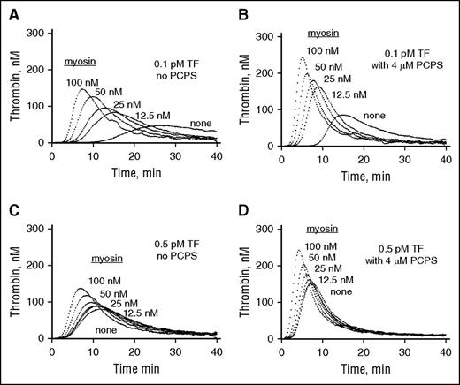 Figure 3. Skeletal muscle myosin promotes thrombin generation when 0.1 pM or 0.5 pM TF is added to pooled normal plasma both in the absence and the presence of 4 µM phospholipid vesicles. CTI (final, 50 µg/mL) was added to freshly thawed pooled normal human plasma (George King Bio Medical Inc., Overland Park, KS). Once-thawed pooled plasma (30 μL) was incubated with various indicated concentrations of myosin for 10 minutes at 37°C. Then, to initiate thrombin generation in the absence (A,C) or presence (B,D) of phospholipid vesicles (4 µM final) (PCPS, 80%/20% wt/wt), fluorogenic thrombin substrate solution (I-1140) with TF at either 0.1 pM (A,B) or 0.5 pM (C,D) (final concentration, as indicated) and CaCl2 (11 mM final) was added.