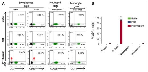 Figure 2. PRT/heparin complexes show similar selective binding to B cells. Whole blood from a representative healthy donor was incubated with buffer or antigen (PRT with or without heparin) followed by staining for cell-specific markers and ADA, a monoclonal antibody to PRT/heparin complexes. Mean ± SD of 3 independent experiments is shown. (A) Flow cytometric analyses of peripheral blood leukocytes incubated with buffer, PRT, or PRT/heparin. Flow cytometry was performed on whole blood. Leukocyte subpopulations were defined by forward and side scatter characteristics (lymphocytes, neutrophils, and monocytes). Gated subpopulations were identified by cell-surface markers for T lymphocytes (CD3), B lymphocytes (CD19), neutrophils (CD66b), and monocytes (CD14) on the x-axis and for ADA staining on the y-axis for each antigen. The percentage of ADA-positive cells for each cell lineage appears in the upper right corner of each graph. (B) Graph of cell lineage–specific staining of flow data shown in (A). Binding of ADA to cell lineages incubated with antigen is shown. **P < .005 compared with other data in graph.