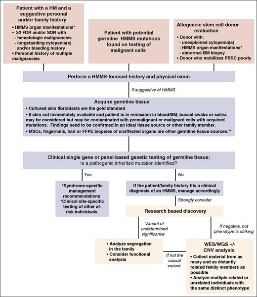 Figure 2. The schema used to clinically screen patients for HMMSs based on their personal and family histories. This schema captures the general principles we use in our institution to evaluate all HM patients for HMMSs. *See Table 3. **These samples may not be accepted by some clinical laboratories. CNV, copy number variation; FDR, first-degree relatives; FFPE, formalin-fixed, paraffin-embedded; MSC, mesenchymal stem cell; PBSC, peripheral blood stem cell; SDR, second-degree relatives; WES, whole-exome sequencing; WGS, whole-genome sequencing.