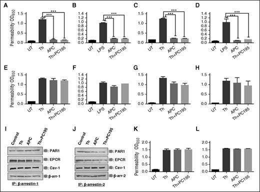 Figure 1. EPCR occupancy regulates β-arrestin-2 biased PAR1 signaling by APC and thrombin. Confluent EA.hy926 endothelial cells were transfected with the control siRNA (A-B) or siRNA specific for either β-arrestin-1 (C-D) or β-arrestin-2 (E-F) before treating cells with the PAR1 agonists (2 nM thrombin, 20 nM APC, or 2 nM thrombin + 50 nM PC-S195A for 3 hours) and monitoring cell permeability in response to either thrombin (10 nM for 10 minutes in panels A, C, E) or LPS (10 ng/mL for 4 hours in panels B, D, F) as described in “Materials and methods.” (G-H) The same as previous panels except that cell permeability in response to thrombin (10 nM) was carried in the presence of function-blocking anti-EPCR or anti-PAR1 antibodies. (I-J) sodium dodecyl sulfate–polyacrylamide gel electrophoresis (SDS-PAGE), immunoprecipitation, and immunoblotting of lysates derived from cells treated with different agonists. Total cellular proteins, derived from nontreated cells or cells treated with thrombin (2 nM), APC (20 nM), and thrombin (2 nM) + PC-S195A (50 nM), were immunoprecipitated with anti-β-arrestin-1 (I) or anti-β-arrestin-2 (J) and separated on SDS-PAGE followed by immunoblotting with anti-PAR1, anti-EPCR, anti-caveolin-1, or different pairs of the same anti-β-arrestin antibodies. (K) The same as panel A, except that permeability in response to thrombin (10 nM) was monitored in endothelial cells treated with MβCD (10 mM for 1 hour) before incubation with the agonists. (L) The same as previous panel, except that permeability in response to thrombin (10 nM) was monitored in endothelial cells transfected with specific siRNA for S1P1 before incubation with the agonists. All results are shown as means ± standard deviation of 3 different experiments. ***P < .001. IB, immunoblotting; IP, immunoprecipitation; MβCD, methyl-β-cyclodextrin; PC195, PC-S195A; Th, thrombin; UT, untreated control.