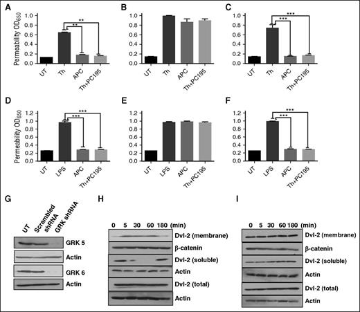 Figure 4. EPCR occupancy regulates β-arrestin-2 biased PAR1 signaling by recruiting GRK5. Confluent EA.hy926 endothelial cells were transfected with scrambled shRNA (A) or shRNA specific for GRK5 (B) and GRK6 (C) before treating cells with the PAR1 agonists (2 nM thrombin, 20 nM APC, or 2 nM thrombin + 50 nM PC-S195A for 3 hours) and monitoring cell permeability in response to either thrombin (10 nM for 10 minutes in panels A-C) or to LPS (10 ng/mL for 4 hours in panels D-F) as described in “Materials and methods.” (G) Western blot analysis of the efficiency of silencing by the scrambled control shRNA or shRNAs specific for GRK5 and GRK6. (H-I) Western blot analysis of Dvl-2 in cell lysates using an anti-Dvl-2 antibody in the control shRNA (H) or GRK5 shRNA silenced endothelial cells treated with thrombin (2 nM) in the absence and presence of PC-S195A (50 nM). All results are shown as means ± standard deviation of 3 different experiments. **P < .01; ***P < .001.
