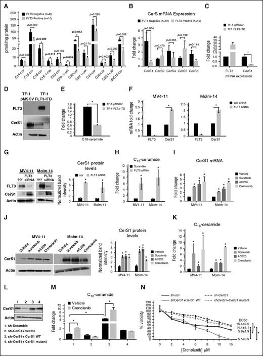 Figure 1. Reactivation of CerS1-C18-ceramide axis is required for the response of AML cells to FLT3-targeted therapy. (A) MS high-performance liquid chromatography (HPLC)-MS-MS analysis for the different ceramide species in FLT3+ vs FLT3− CD34+ AML blasts obtained from bone marrow of AML patients. (B) Quantitative polymerase chain reaction (qPCR) measurement of CerSs mRNA expression in FLT3+ vs FLT3− CD34+ AML blasts obtained from bone marrow of AML patients. (C) CerS1 mRNA in TF-1 cells transfected with FLT3-ITD overexpression vector. (D) Western blot for CerS1 protein in TF-1 cells transfected with FLT3-ITD overexpression vector. (E) HPLC-MS-MS measurement of C18-ceramide in TF-1 cells transfected with FLT3-ITD overexpression vector. (F) qPCR measuring CerS1 mRNA in cells transfected with FLT3 small interfering RNA (siRNA). (G) qPCR measuring CerS1 mRNA in cells treated with FLT3 pharmacological inhibitors. (H) Western blotting measuring CerS1 protein in cells transfected with FLT3 siRNA. (I) Western blotting measuring CerS1 protein in cells treated with FLT3 pharmacological inhibitors. (J) HPLC-MS-MS measuring C18-ceramide in cells transfected with FLT3 siRNA. (K) HPLC-MS-MS measuring C18-ceramide in cells treated with FLT3 pharmacological inhibitors. (L) Western blot to detect CerS1 protein in sh-CerS1 cells reconstituted with CerS1 WT or CerS1-H138A catalytically inactive mutant. (M) HPLC-MS-MS measurement of C18-cermide in crenolanib-treated cells transfected with CerS1 WT or CerS1-H138A catalytically inactive mutant. (N) Percentage of viability measured using MTT (3-(4,5-dimethylthiazol-2-yl)-2,5-dimethyltetrazolium bromide) assay for sh-scr, sh-CerS1, sh-CerS1+CerS1 WT, and sh-CerS1+CerS1 H1338A mutant, treated with crenolanib. Values indicate mean ± standard deviation (SD) of n = 3 independent experiments. *P value of <.05 using the 2-sided Student t test.