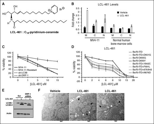Figure 5. LCL-461 accumulates in mitochondria to induce LC3B-dependent lethal mitophagy regardless of FLT3 mutation status. (A) Chemical structure of LCL-461 or C18-pyridinium ceramide. (B) MS detection of LCL-461 in mitochondrial, cytosolic, and nuclear fractions in vehicle and LCL-461–treated MV4-11 or normal human bone marrow cells. (C) Percentage of viability measured using MTT assay in MV4-11, MV4-11–resistant, sh-LC3B, and sh-Drp1 cells in response to LCL-461. (D) Percentage of viability measured using the MTT assay of AML cell lines with different FLT3 mutations in response to LCL-461. (E) Western blot showing LC3B in LCL-461–treated cells transfected with scr or Drp1 siRNA. (F) EM visualization of mitophagosomes induced by LCL-461 treatment in MV4-11 cells treated with 5 μM LCL-461. White arrows indicate autophagosomes and black arrows indicate mitochondria. Values indicate mean ± SD of n = 3. *P value of <.05 using the 2-sided Student t test.