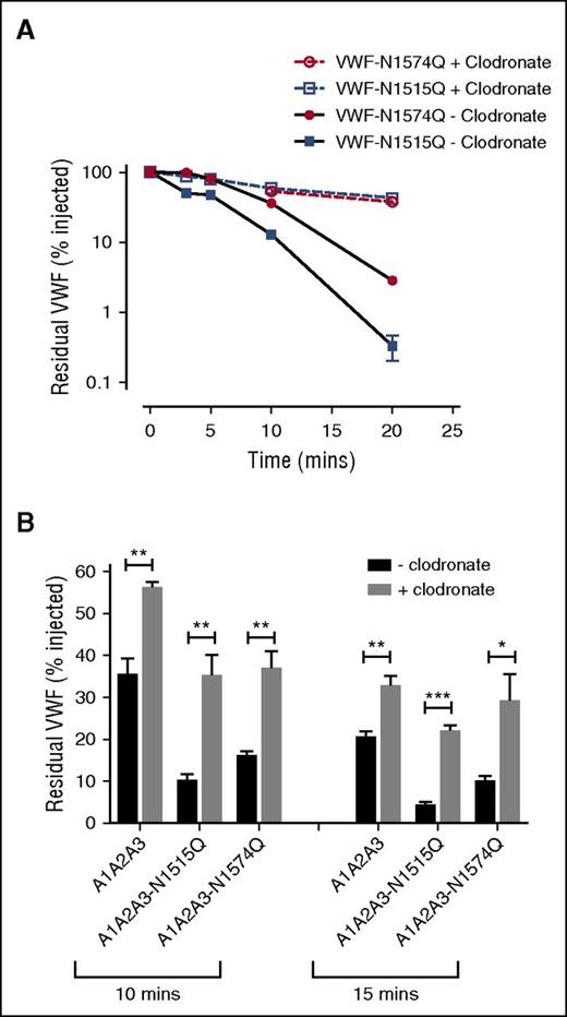Figure 4. Accelerated clearance of VWF N1515Q and VWF N1574Q is mediated by macrophages. (A) In order to assess the potential contribution of macrophages in modulating the enhanced clearance of VWF glycan variants, clearance of VWF N1515Q and VWF N1574Q was repeated in VWF−/− mice 24 hours after clodronate-induced macrophage depletion. (B) To determine whether macrophages play a role in regulating the reduced survival of A1A2A3-N1515Q and A1A2A3-N1574Q, in vivo clearance studies were also re-assessed in VWF−/− mice following clodronate treatment. Data are graphed as percentage residual VWF relative to the amount injection (*P < .05, **P < .01, and ***P < .001).