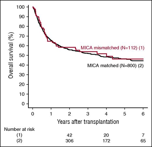 Figure 3. Effect of MICA matching on OS. Kaplan Meier estimates of OS are shown.