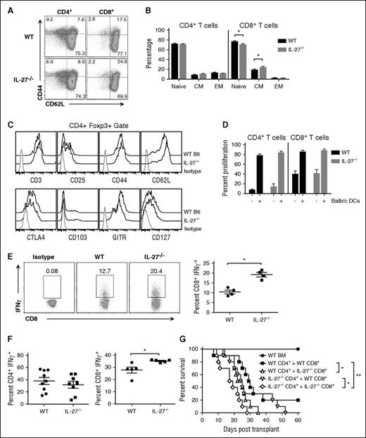 Figure 3. CD8+ T cells from IL-27−/− mice have a biased inflammatory phenotype. (A) Representative dot plots depicting CD44 and CD62L expression on CD4+ and CD8+ T cells from B6 and IL-27−/− mice. (B) Percentage of CD4+ and CD8+ T cells from wild-type (WT) or IL-27−/− animals (n = 9 per group) with a naive, central memory (CM), or effector memory (EM) phenotype. (C) Representative histograms showing CD25, CD44, CD62L, CTLA4, CD103, GITR, and CD127 expression on gated CD4+Foxp3+ T cells from wild-type or IL-27−/− mice. (D) Column-purified T cells (1 × 105) from wild-type or IL-27−/− mice were labeled with carboxyfluorescein diacetate succinimidyl ester (CFSE) and cultured with allogeneic Balb/c CD11c-enriched dendritic cells (DCs) (5 × 104) for 4 days. The percentage of CFSEloCD4+ and CD8+ T cells in the absence or presence of DCs is shown for replicate experiments (n = 3). Data are presented as mean ± standard error of the mean (SEM). (E) Splenocytes from wild-type or IL-27−/− mice were cultured with PMA and ionomycin for 6 hours. Representative dot plots depicting the percentage of CD8+ T cells that secreted IFN-γ and scatterplots for replicate experiments (n = 4) are shown. (F) Purified CD4+ or CD8+ T cells (1 × 105) from the spleens of wild-type or IL-27−/− mice were cultured under TH1 polarizing conditions (see “Methods”) for 5 days. Scatterplots depicting the percentage of CD4+ or CD8+ IFN-γ+ T cells are shown (n = 5-9 per group). (G) Lethally irradiated Balb/c mice were transplanted with B6 BM alone (●, n = 6), or together with either B6 CD4+ (0.9 × 106) and CD8+ (0.5 × 106) T cells (▪, n = 10), B6 CD4+ and IL-27−/− CD8+ T cells (△, n = 10), IL-27−/− CD4+ and B6 CD8+ T cells (▿, n = 10), or IL-27−/− CD4+ and CD8+ T cells (♢, n = 10). Survival is shown. Data are from 2 experiments. *P < .05, **P < .01.
