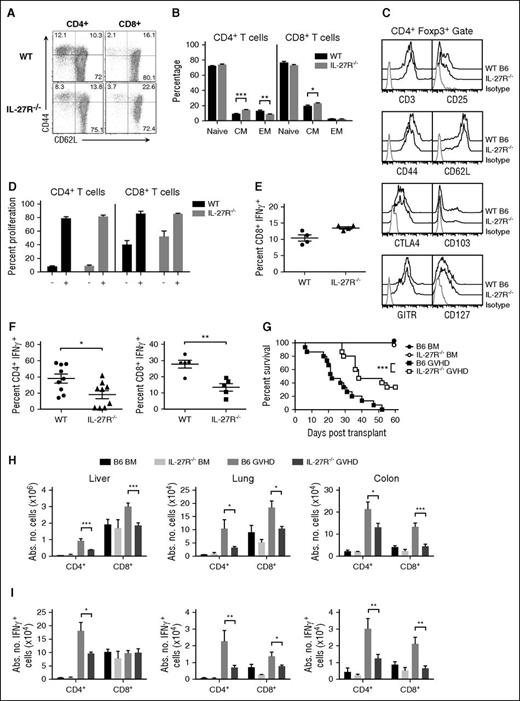 Figure 4. Transplantation with IL-27R−/− marrow grafts reduces GVHD severity. (A) Representative dot plots depicting CD44 and CD62L expression on CD4+ and CD8+ T cells from B6 and IL-27R−/− mice. (B) Percentage of CD4+ and CD8+ T cells from wild-type or IL-27R−/− animals (n = 10 per group) with a naive, central memory (CM), or effector memory (EM) phenotype. (C). Representative dot plot showing CD25, CD44, CD62L, CTLA4, CD103, GITR, and CD127 expression on gated CD4+ Foxp3+ T cells from wild-type or IL-27R−/− mice. (D). Column-purified T cells (1 × 105) from wild-type or IL-27R−/− mice were labeled with CFSE and cultured with allogeneic Balb/c CD11c-enriched dendritic cells (DCs) (5 × 104) for 4 days. The percentage of CFSElo CD4+ and CD8+ T cells in the absence or presence of DCs is shown for replicate experiments (n = 3). Data are presented as mean ± SEM. (E). Column-purified T cells (3 × 106) from wild-type or IL-27R−/− mice were cultured with PMA and ionomycin for 6 hours. Representative dot plots depicting the percentage of CD8+ T cells that secreted IFN-γ and scatterplots for replicate experiments (n = 4) are shown. (F). Purified CD4+ or CD8+ T cells from the spleens of wild-type or IL-27R−/− mice were cultured under TH1 polarizing conditions for 5 days. Scatterplots depicting the percentage of CD4+ or CD8+ IFN-γ+ T cells are shown (n = 5-9 per group). (G) Balb/c recipients were transplanted with B6 BM alone (●, n = 9), IL-27R−/− BM (○, n = 9), B6 BM and B6 spleen cells (▪, n = 15), or IL-27R−/− BM and IL-27R−/− spleen cells (□, n = 15) (adjusted to yield an αβ T-cell dose of 0.6 × 106 cells). Overall survival is depicted. Data are from 3 experiments. (H-I) Lethally irradiated Balb/c recipients were transplanted with B6 BM alone (black bars, n = 5), IL-27R−/− BM (light gray bars, n = 5), B6 BM and B6 spleen cells (medium gray bars, n = 10), or IL-27R−/− BM and spleen cells (dark gray bars, n = 10). The absolute number of donor-derived CD4+ and CD8+ T cells (H) and CD4+ and CD8+ T cells that secreted IFN-γ (I) in the liver, lung, and colon 14 days posttransplantation is depicted. Data are from 2 experiments. *P < .05, **P < .01, ***P < .001.