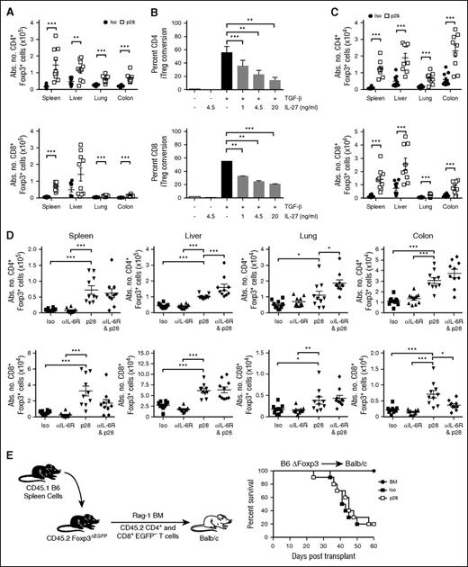 Figure 5. Blockade of IL-27 signaling augments reconstitution of Foxp3-expressing Tregs. (A) Balb/c mice were transplanted with B6 Foxp3EGFP BM and spleen cells and then treated with either an isotype control (●) or p28 (□) antibody. Animals were killed 14 days after transplantation and the absolute number of CD4+ and CD8+ Foxp3+ T cells in the spleen, liver, lung, and colon are shown. (B) Sorted CD4+ or CD8+ Foxp3EGFP− T cells were cultured with anti-CD3/28 antibodies, IL-2, and TGF-β alone, or together with graded doses of IL-27. The percentage of CD4+ and CD8+ Foxp3+ T cells is depicted. (C) Balb/c mice were transplanted with B6 Rag-1 BM alone or together with sorted CD4+ (0.4 × 106) and CD8+ (0.2 × 106) Foxp3EGFP− T cells and then treated with either an isotype control (●) or p28 (□) antibody. Animals were killed 14 days posttransplantation and the absolute number of CD4+ and CD8+ Foxp3+ T cells in spleen, liver, lung, and colon is shown. (D) Balb/c mice were transplanted with B6 Foxp3GFP BM and spleen cells and then treated with either an isotype control (▪, n = 10), anti-IL-6R (▲, n = 10), p28 (▼, n = 10), or combination of p28 and anti-IL-6R (♦, n = 10) antibodies. The absolute number of CD4+ and CD8+ Foxp3+ T cells in spleen, liver, lung, and colon 2 weeks posttransplantation is depicted. (E) Balb/c mice transplanted with B6 Rag-1 BM alone (●, n = 5) or with 0.5 × 106 CD4+EGFP− and 0.3 × 106 CD8+EGFP− T cells from Foxp3ΔEGFP animals that had been reconstituted with 40 × 106 to 60 × 106 spleen cells from B6.SJL Foxp3EGFP (CD45.1) animals 1 to 2 days after birth to prevent the development of lethal autoimmunity. Mice transplanted with these T cells were treated with either isotype (▪, n = 10) or p28 antibody (□, n = 10) on days 0 and 6 posttransplantation. Overall survival is depicted. Data are from 2 experiments for each panel. *P < .05, **P < .01, ***P < .001. EGFP, enhanced green fluorescent protein; TGF, transforming growth factor.