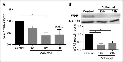 Figure 2. WDR1 is downregulated in activated MEG-01 cells. (A) WDR1 gene expression in MEG-01 cells was measured at baseline and after treatment with thrombin 1 U/L on collagen-coated coverslips at 6, 12, and 24 hours. (P = .04, 0.03, and 0.18, respectively, Student t test with Bonferroni correction). (B) Representative immunoblots probed for WDR1 in MEG-01 cells and quantification of the decrease in WDR1 protein after treatment with thrombin and collagen at 12 and 24 hours (P = .004 and <.0001, respectively, Student t test with Bonferroni correction). Activated MEG-01 cells were compared with control MEG-01 cells (absence of thrombin and noncoated coverslips). Data are mean ± SEM of 6 experiments. *P < .05, vs unstimulated (no thrombin or collagen) control MEG-01 cells. GAPDH, glyceraldehyde-3-phosphate dehydrogenase.