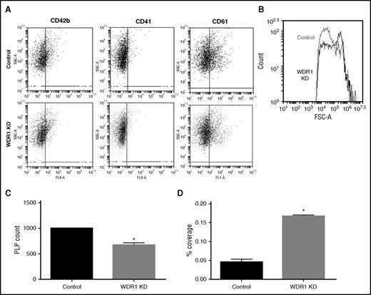 Figure 5. WDR1 knockdown increases PLP size and adhesion but decreases PLP production. (A) Expression of CD42b, CD41, and CD61 platelet markers at the PLP surface analyzed by flow cytometry in WDR1 KD and control PLPs. (B) Forward side scatter (FSC) of PLPs produced by WDR1 KD and control MEG-01 cells. WDR1 KD-derived PLPs are larger than PLPs derived from controls. Similar results were obtained in an additional 2 experiments. (C) Quantification of PLP production by WDR1 KD and control MEG-01 cells (P = .02, Student t test). (D) Quantification of PLP adhesion upon stimulation with collagen and thrombin. WDR1 KD-derived PLPs are more than threefold more adherent than their control (P = .003, Student t test). Data are mean ± SEM of 3 experiments. *P < .05 vs control MEG-01-derived PLPs. SSC-A, side scatter.