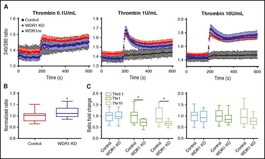 Figure 6. WDR1 affects calcium influx. (A) Calcium concentration measured over time before and after addition of thrombin (0.1 U/mL, 1 U/mL, and 10 U/mL) at 180 seconds in MEG-01 cells. (B) Baseline calcium concentration was higher in WDR1 KD cells than controls (P < .0001, Student t test). (C) Quantification of calcium concentration change between baseline and peak calcium influx (left panel) (P = .0004 and P = .0001, respectively, Student t test); and between baseline and plateau levels, after 300 seconds (right panel). Data are median ± IQR of 10 experiments. *P < .05 vs control MEG-01 cells.