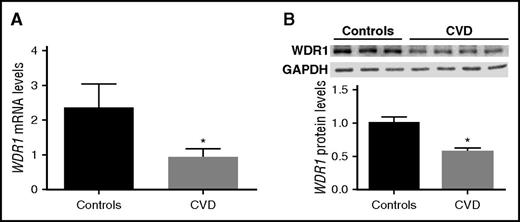 Figure 7. WDR1 expression is reduced in subjects with cardiovascular diseases. (A) Platelet-derived WDR1 mRNA levels were measured in platelets from 10 healthy subjects and 27 age-, race-, and sex-matched subjects with CVD (P = .01, Student t test). (B) WDR1 protein expression in 4 CVD subjects vs 3 healthy controls (P = .008, Student t test). Data are mean ± SEM. *P < .05 vs control subjects.