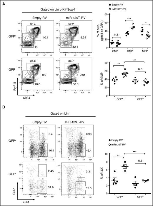 Figure 3. Knockdown of miR-139-5p results in the expansion of LSK cells and myeloid progenitors. (A) Flow cytometric analysis of hematopoietic progenitors with CD34 and FcγRIII expression in LK population (Lin−c-Kit+Sca-1−) (left). Average frequency of CMP (CD34hiFcγRIII+), GMP (CD34+FcγRIIIhi), and MEP (CD34−FcγRIII−) in LK subsets is depicted (right). (B) Representative flow cytometric profiles of LSK (Lin−c-Kit+Sca-1+) and LK (Lin−c-Kit+Sca-1−) subpopulations (left) and average frequency of LSK subsets in reconstituted mice (right).