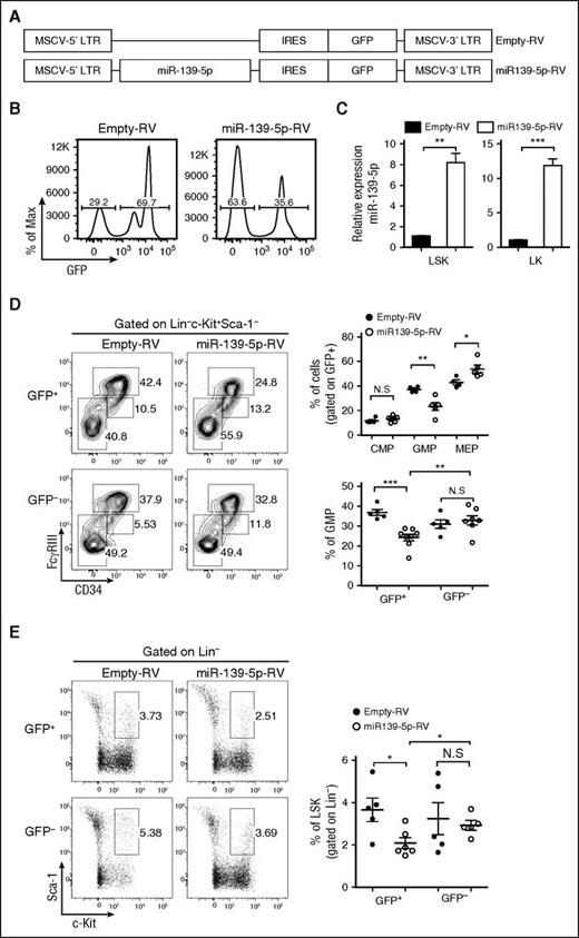 Figure 4. Ectopic expression of miR-139-5p suppresses the differentiation of LSK and myeloid progenitors. (A) Schematic representation of the MSCV-based retroviral vector with the insertion of miR-139-5p sequence used to overexpress miR-139-5p. The empty vector containing no insert was used as control vector. (B) Transduction efficiency was analyzed by GFP expression in the BM of reconstituted mice. (C) Expression of miR-139-5p was measured by quantitative RT-PCR in LSK and LK cells purified from reconstituted mice. Data represent the mean ± SEM (N = 3). (D) Flow cytometric analysis of hematopoietic progenitors with CD34 and FcγRIII expression (left) in LK population (Lin−c-Kit+Sca-1−). Average frequency of CMP (CD34hiFcγRIII+), GMP (CD34+FcγRIIIhi), and MEP (CD34−FcγRIII−) in LK subsets is depicted (right). (E) Representative flow cytometric profiles of LSK (Lin−c-Kit+Sca-1+) (left) and average frequency of LSK subsets in reconstituted mice (right).