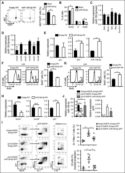 Figure 5. Expression of miR-139-5p suppresses proliferation in hematopoietic progenitors and CML cells. (A) Cell cycle profile was analyzed using Ki67/DAPI staining in Kcl22 cells after transfection with empty or miR-139-5p–expessing vectors (N = 3). (B) Cell cycle progression was analyzed using PI staining in K562 cells after transfection with empty or miR-139-5p–expessing vectors (N = 5). (C) Expression of genes that are associated with cell survival and apoptosis was analyzed in miR-139-5p–transfected K562 cells. Results are presented relative to those of cells transfected with control empty vector (N = 3). (D) Expression of cell cycle–related genes was analyzed in miR-139-5p–transfected K562 cells. Results are presented relative to those of cells transfected with control empty vector (N = 3). (E) Expression of p27, p21, and miR-139-5p in K562 cells after transfection with empty or miR-139-5p–expressing vectors was measured using quantitative RT-PCR analysis (N = 3). (F) Cell proliferation was analyzed in LSK (Lin−c-Kit+Sca-1+) of mice reconstituted with miR-139-5p-RV. Bar graph represents mean ± SEM (N = 3). (G) Cell proliferation was analyzed in LSK cells of mice reconstituted with miR-139T-RV. Bar graph represents mean ± SEM (N = 3). (H) Expression of cyclin D1, cyclin D3, and p27 was measured in LSK cells purified from mice reconstituted with miR-139-5p-RV (N = 3). (I) Representative cytometric analysis of granulocytes (left) and myeloid progenitors, LK population (middle) from reconstituted mice as described in the figure. Upper panels, empty-NGFR and empty-GFP; middle panels, p210-NGFR and empty-GFP; lower panels, p210-NGFR and miR-139-5p-GFP. The mean frequency of granulocytes and LK population is depicted (right, mean ± SEM). (J) Expression of miR-139-5p and p210 fusion transcript was analyzed in Lin−c-Kit+ HSPCs purified from reconstituted mice using quantitative RT-PCR. Data represent the mean ± SEM (N = 4).