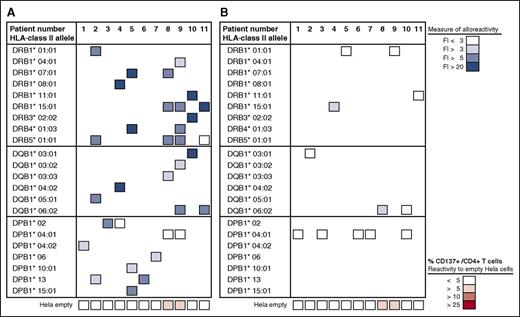 Figure 2. Anti-HLA class II allele-specific immune reactivity in early post-dUCBT PB samples. Nineteen PBMC samples obtained from 11 patients at 1 to 6 months after dUCBT were propagated toward mismatched HLA class II alleles of the nonengrafting CBU and subsequently tested for alloreactivity toward mismatched and matched HLA class II alleles. The response was quantified by CD137 upregulation on CD4+ T cells and presented as fold increase (FI; %CD137+/CD4+) of reactivity toward HeLa cells transduced with (mis)matched HLA class II alleles relative to reactivity toward the nontransduced empty HeLa cell (control) (supplemental Figure 3A). In case >1 PBMC sample per patient was tested, the best result (ie, highest FI) was considered, generally obtained with the PBMC sample with the shortest follow-up after dUBCT. (A) Patient PBMCs were propagated toward mismatched alleles in a 14- to 21-day coculture and subsequently assayed toward the same mismatched alleles (as specified in the left column). The level of response is presented in a 4-color grading scale, as depicted and was as follows: DR alleles, FI = 11.6 (median; range, 2-84; n = 16); DQ alleles, FI = 8.9 (median; range, 4-87; n = 7); DP alleles, FI = 3.6 (median; range, 1.0-12; n = 10). The level of reactivity toward the HLA class II negative (empty) HeLa cell is shown at the bottom row of the figure, is presented as the mean % CD137+/CD4+ of 1 to 7 observations per patient (median %CD137+/CD4+, 2.2; range, 0.5-8.7; n = 11), and is depicted in a 4-color-grading scale. (B) Patient PBMCs were propagated toward 1 to 7 mismatched alleles per patient (as shown in A) and subsequently assayed toward a single matched allele of the engrafting CBU (as specified in the left column). The mean value of response of 1 to 7 observations per patient is presented. The level of response was as follows: DR alleles, FI = 1.6 (median; range, 1.2-3.6; n = 4); DQ alleles, FI = 2.3 (median; range, 1.3-4.3; n = 3); DP alleles, FI = 1.1 (median; range, 0.6-1.6; n = 5; see A).