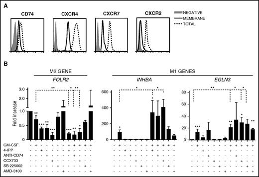 Figure 5. MIF receptors and signaling during MØ repolarization. (A) Flow cytometry analyses of intracellular and surface expression of MIF receptors CXCR4, CXCR7, CXCR2, and CD74 on M-MØ. (B) Expression levels of FOLR2, INHBA, and EGLN3, as determined by qRT-PCR on M-MØ treated for 24 hours with GM-CSF (1000 U/mL); 4-IPP (50 μM); AMD3100 (25 μg/mL); CCX733 (100 nM); SB225002 (300 nM) and α-CD74 blocking Ab (5 μg/mL); or GM-CSF in combination with all of them. Values in the absence of treatment are given an arbitrary value of 1. Result represents mean ± SEM of 4 independent donors. *P < .05; **P < .01; ***P < .001.