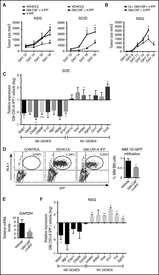 Figure 6. GM-CSF+4-IPP therapeutic effect in immunodeficient mice MM xenograft models. (A) NCI-H929 cells were inoculated subcutaneously into the flank of NSG (left graph) or SCID mice (right graph). When tumors reached volumes of 100 mm3, mice were treated every 2 days until sacrifice (day 18) with the indicated treatments (left, n = 6-10 per group; right, n = 8). (B) NSG mice displaying 100-mm3 subcutaneous NCI-H929 tumors were injected IV with clodronate, and 2 days later, mice were treated with GM-CSF+4-IPP every 2 days. Tumor growth was measured daily. Data show tumor-volume average of 5 mice per group ± SEM. (C) M1 and M2 polarization murine marker expression in CD11b+ cells isolated from tumors grown in SCID mice, as determined by qRT-PCR (n = 10). Relative expression (log scale) indicates the expression of each marker after GM-CSF+4-IPP treatment relative to its expression in the absence of treatment. (D-E) MM.1S-GFP cells were IV injected into NSG mice, and 10 days later, mice were treated with GM-CSF/4-IPP or with vehicle. Mice were sacrificed after 2 weeks of treatment, and BM cells were analyzed by flow cytometry for human HLA-1 and green fluorescent protein (GFP) expression. Representative dot-plots panels showing HLA-1+/GFP+ percentages (left) and quantification of BM infiltration (right) are displayed. (B) qRT-PCR analyses of human GAPDH expression of BM samples from vehicle- or GM-CSF/4-IPP-treated mice. Data show the mean ± SEM of 14 mice. (F) M1 and M2 polarization murine marker expression in the BM from NSG mice infiltrated with MM.1S-GFP cells, shown as in (C). mRNA, messenger RNA. *P < .05; **P < .01; ***P < .001.