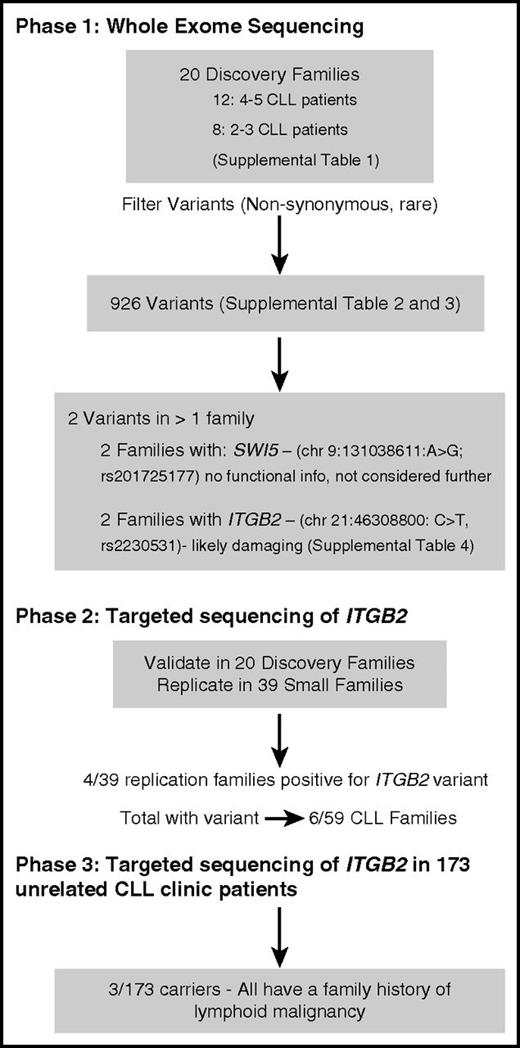 Figure 1. Gene identification in CLL families in a 3-phase study.