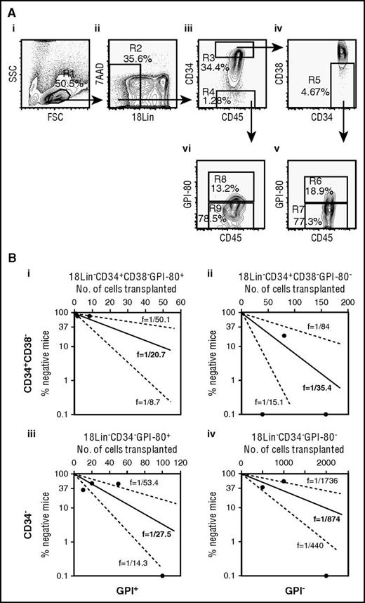 Figure 1. Expression of GPI-80 on purified CB-derived 18Lin−CD34+CD38− and 18Lin−CD34− cells and frequencies of SRCs in these purified cells. (A) The representative FACS profiles of CB-derived 18Lin−CD34+CD38−GPI-80+/− and 18Lin−CD34−GPI-80+/− cells (i to vi) and (B) a comparison of the frequency of SRCs in CB-derived 18Lin−CD34+CD38−GPI-80+/− and 18Lin−CD34−GPI-80+/− cells (i to iv). (A) (i) The forward scatter/side scatter (FSC/SSC) profile of immunomagnetically separated Lin− cells. The R1 gate was set on the blast-lymphocyte window. (ii) The R2 gate was set on the 18Lin− living cells. (iii) The 18Lin− living cells (R2) were subdivided into 2 fractions: 18Lin−CD45+CD34+ (R3) and 18Lin−CD45+CD34− (R4) cells, according to their CD34 expression levels. CD34+/− cells were defined as follows: the CD34+ fraction contains cells expressing maximum antigen-presenting cell fluorescence intensity (FI) to the 5% level of FI. The CD34− level of FI was determined based on Fluorescence Minus One controls. (iv) The 18Lin−CD45+CD34+ cells residing in the R3 gate were further subdivided into CD38− (R5) cells, according to their CD38 expression levels. The CD38− level was defined as <15% of the maximum PE-Cy7 FI. (v) The 18Lin−CD45+CD34+CD38− cells residing in the R5 gate were further subdivided into 2 fractions: 18Lin−CD45+CD34+CD38−GPI-80+ (R6) and GPI-80− (R7) cells, according to their GPI-80 expression levels. GPI-80+/− cells were defined as follows: the GPI-80− level of FI was determined based on Fluorescence Minus One controls, and remaining cells were defined as GPI-80+ cells. (vi) The R4-gated cells were further subdivided into 2 fractions: 18Lin−CD45+CD34−GPI-80+ (R8) and GPI-80− (R9) cells. The definitions of GPI-80+/− cells are the same as abovementioned. As shown in (v) and (vi), the percentages of GPI-80+ cells in the CD34+ (R6) and CD34− (R8) fractions ranged from 5.4% to 19.9% (mean 11.8%, n = 6) and 5.4% to 29.9% (mean 14.2%, n = 6), respectively. (B) Various numbers of 18Lin−CD34+CD38−GPI-80+ cells (1, 2, and 8, n = 32) (i), 18Lin−CD34+CD38−GPI-80− cells (40, 80, and 160, n = 11) (ii), 18Lin−CD34−GPI-80+ cells (10, 20, 50, 100, 200, and 400, n = 26) (iii), and 18Lin−CD34−GPI-80− cells (500, 1000, and 2000, n = 15) (iv) were transplanted into NOG mice. The human CD45+ cell repopulation in the mouse BM was analyzed by FCM at 8 weeks after transplantation. The frequency of SRC was 1 per 20.7 in 18Lin−CD34+CD38−GPI-80+ cells, 1 per 35.4 in 18Lin−CD34+CD38−GPI-80− cells, 1 per 27.5 in 18Lin−CD34−GPI-80+ cells, and 1 per 874 in 18Lin−CD34−GPI-80− cells. The middle solid line represents the estimated weighted mean frequency (fWM). The lower and upper dotted lines represent the 95% confidence interval of fWM. The detailed LDA data are presented in supplemental Table 2.