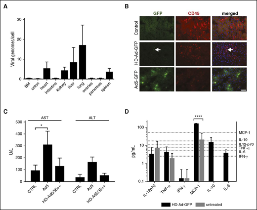 Figure 5. HD-Ad5/35 vector genome distribution and inflammatory reaction in hCD46tg mice. (A) HD-Ad–GFP (4 × 1010 vp) was IV injected into mobilized hCD46tg mice. Animals received dexamethasone (10 mg/kg) IP 16 hours and 2 hours before virus injection. Three days later, genomic DNA from tissue samples was analyzed for HD-Ad vector genomes using quantitative PCR with GFP-specific primers. Shown are vector copies per cell. N = 3. (B) Immunofluorescence analysis of liver sections at day 3 after vector injection into mobilized mice. Mice received either HD-Ad–GFP or first-generation Ad5-GFP at a dose of 4 × 1010 vp per animal. GFP appears in green, murine CD45 in red, and DAPI-stained nuclei in blue. The arrows in the middle panel indicate transduced blood cells present in a liver blood vessel. The scale bar is 50 μm. No specific feature within images shown in panel B was enhanced, obscured, moved, removed, or introduced. Previously, we and others have shown that Ad5 entry into hepatocytes is mediated by Ad5 hexon protein interaction with coagulation FX26,27 and that this pathway is inefficient if Ad5 vectors contain the short Ad35 fibers (such as in the Ad5/35++ vectors used here), most likely due to a steric block of the FX-interacting domains within the Ad5 hexon.28 (C) Levels of serum alanine transaminase and aspartate transaminase at day 3 after Ad injection. N = 3. *P < .05, ****P < .0001 after one-way ANOVA with Bonferroni posttesting. (D) Serum levels of different cytokines, 6 hours after vector injection in mobilized animals. Animals had been mobilized as before and a total of 8 × 1010 vp HD-Ad–GFP was IV injected. Shown are mean ± SD. Dotted lines represent the detection limits of the different cytokines. Serum of unmobilized, uninjected animals was used as a control (untreated). N = 5. CTRL, control; FX, factor X; IFN, interferon; MCP, membrane cofactor protein; TNF, tumor necrosis factor.