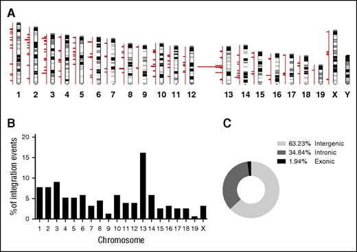 Figure 6. Analysis of vector integration sites in HSPCs. Genomic DNA isolated from 20 pooled GFP+ progenitor colonies from BM cells of female hCD46tg animals, harvested 8 weeks after HD-Ad–GFP + HD-Ad–SB in vivo transduction and SB-mediated transgene integration sites were recovered. (A) Chromosomal distribution of integration sites in GFP+ CFU colonies. (B) Percentage of total integration events per chromosome. (C) Integration sites were mapped to the mouse genome, and their location with respect to genes was analyzed. Shown is the percentage of integration events that occurred outside of genes, within intronic regions, and within exons, respectively.