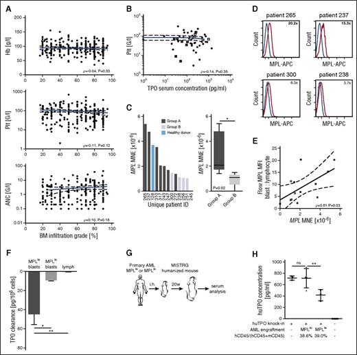Figure 1. AML blasts can scavenge TPO by virtue of their MPL expression, leading to inadequate cytokine levels. (A) Peripheral blood counts are shown as a function of bone marrow blast count, in patients with newly diagnosed AML at a single medical center (N = 223). Pearson product-moment correlation coefficient is stated. (B) Scatter plot depicting relationship between serum TPO concentration and platelet count (N = 52). Pearson product-moment correlation coefficient is stated. Selected potential scavenger AML cases (low platelets, low TPO; group A) are highlighted as gray squares and control AML cases (group B) as white squares. (C) Waterfall plot shows MPL mean normalized expression in individual patients identified by their unique ID below; box-and-whiskers plot shows comparison between groups A and B. (D) Histograms show MPL mean fluorescent intensity (MFI) on blasts (red line) compared with lymphocytes as internal control (blue line). MFI ratio blast-to-lymphocyte is stated. The 2 upper panels show potential scavenger cases; the 2 bottom panels show controls. Data are representative of N = 12. (E) Scatter plot depicting correlation between flow cytometry MFI and quantitative polymerase chain reaction mean normalized expression (N = 12). (F) TPO clearance after 2 hours of incubation of cells in medium supplemented with 100 pg/mL TPO (N = 4-6 per group). One-way ANOVA, P = .001. (G) Schematic representation of in vivo xenotransplantation experiments. (H) Scatter plot depicts huTPO serum concentration in the xenotransplantation setting by donor-engraftment status. Average engraftment level in the respective groups is stated. N = 3 per group MPLhi and group MPLlo for primary AML samples/patients. N = 3-4 per group for murine recipients. One-way ANOVA, P < .0001. ANC, absolute neutrophil count.