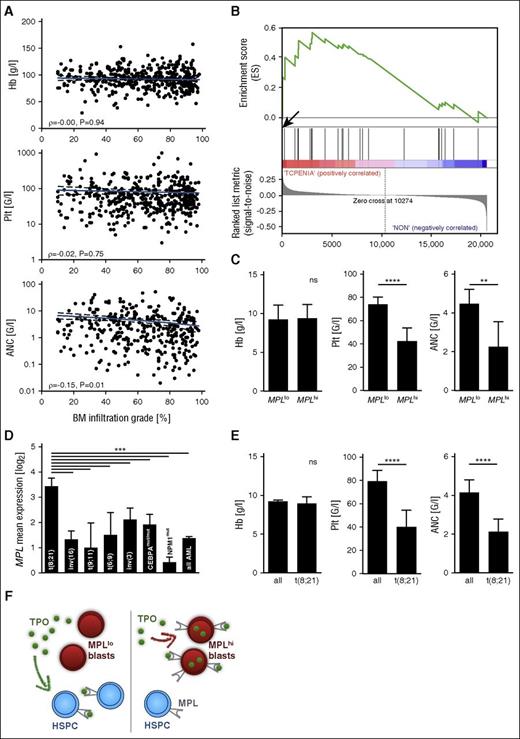 Figure 2. MPL expression is predictive of cytopenia in a multicenter AML cohort. (A) Peripheral blood counts are shown as a function of bone marrow blast count in patients with newly diagnosed AML/refractory anemia with excess blasts from the Dutch-Swiss-Belgian HOVON study group (validation cohort) (N = 437). Pearson product-moment correlation coefficient is stated. (B) Gene set enrichment analysis of the BIOCARTA_TPO_PATHWAY gene set (supplemental Table 3) in AML patients with severe thrombocytopenia (0-20 G/L) at diagnosis compared with patients with platelet counts between 50 and 100 G/L (average in AML, 79 G/L) (N = 100). Enrichment score (ES), 0.56; significant at P < 5%. Arrow marks MPL at position 27 in ranked gene list. (C) Peripheral blood counts at diagnosis are shown as a function of MPL status by microarray. P < .0001 (platelet count), P = .0077 (ANC). (D) MPL mean expression as a function of AML (cytogenetic or molecular) subgroup according to the WHO 2008 classification. One-way ANOVA, P < .0001. (E) Initial peripheral blood counts in patients with AML with t(8;21) from both cohorts (N = 32) compared with all other AML patients. P < .0001 (platelet count, ANC). (F) Cartoon depicting the proposed mechanism leading to cytopenia in MPLhi AML (right), contrasted with MPLlo AML (left).