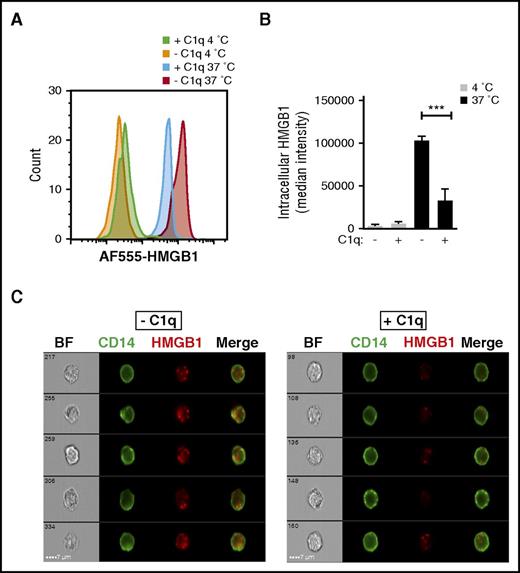 Figure 2. C1q inhibits HMGB1 internalization by human monocytes. (A) Human monocytes were incubated with AF555-labeled HMGB1 with (+C1q) or without C1q (−C1q) for 30 minutes at 4°C or 37°C and stained with fluorescein isothiocyanate–anti-CD14 antibody. Imaging flow cytometry was performed on an ImageStreamX Mark II. Intensity of AF555-HMGB1 of a CD14+ population in each condition is shown. (B) The Internalization Wizard following membrane masking was used to quantify intracellular HMGB1. The median fluorescent intensity from 3 independent experiments is shown. ***P < .001. (C) Representative images of monocytes that internalized HMGB1 (red) without C1q (left) and in the presence of C1q (right).