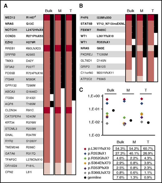 Figure 2. Nonsynonymous mutations detected by WES and amplicon sequencing. Nonsynonymous mutations detected by WES in (A) patient 2073 and (B) patient 2279. The first column shows gene symbols, the second column shows detected mutations. Mutations with homozygous variant allele frequencies are displayed in dark red. These include hemizygous mutations of PHF6, MED12, and CLDN34 on chromosome X and the mutation of a single RREB1 allele on chromosome 6 (the second RREB1 allele is completely lost because of a monoallelic deletion on 6p identified by SNP array; supplemental Table 6). Mutations with the heterozygous variant allele frequency are displayed in light red, and subclonal mutations with variant allele frequencies <15% are displayed in pink. Genes that are recurrently mutated in T-cell acute lymphoblastic leukemia are in bold. Mutated alleles that were detectable in the RNAseq data are marked in black. The positions of the remaining mutations that were not detected in the RNAseq data were either not covered at all or were covered by only a low number of reads (supplemental Table 5). (C) Levels of 6 different mutated WT1 alleles and of germline allele were determined by amplicon sequencing in patient 2279. The y-axis shows the proportion of mutated and/or germline reads within the total number of reads, which was set to 100%. M, myeloid subpopulation in patient 2073 and preT-myeloid subpopulation in patient 2279; T, preT subpopulation.