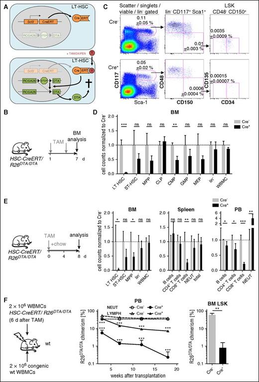 Figure 1. Inducible HSPC depletion. (A) Mouse model for inducible HSPC depletion; a conditional Rosa26-DTA knock-in allele (R26DTA) was crossed into HSC-CreERT mice. In the latter, the TAM-inducible Cre/estrogen receptor fusion protein (CreERT) is expressed in LT-HSCs and to a lower extent in progenitors. Induction of Cre-mediated recombination by TAM triggers expression of DTA in HSPCs and, thereby, their apoptotic cell death. Scl6E5-CreERT-3′enhancer transgenic mice were designated HSC-CreERT throughout the manuscript. (B) HSC-CreERT/R26DTA/DTA mice were induced by oral gavage of 2 × 0.1 mg/g BW TAM. (C) Flow cytometric analysis of BM HSPCs on day 7 after initiation of TAM. One Cre− control (Cre−) and 1 HSC-CreERT+R26DTA/DTA (Cre+) animal representative of 4 mice per group are shown. Mean frequencies ± SD of the gated population within WBMCs are shown. (D) Total numbers of HSCs and progenitors recovered from 2 femora and 2 tibiae of the animals described in panel B and shown in panel C. Mean numbers of controls (displayed ± SD) were set to 1 (dotted line). See supplemental Figure 1A for gating strategies and Figure 1E and supplemental Figure 2A-B for alternative TAM-induction protocols. (E) BM, spleen, and PB of HSC-CreERT/R26DTA/DTA were analyzed 8 days after TAM administration (n = 5, normalization and display of data as in panel D). (F) WBMCs from TAM-induced (5 × 0.3 mg/g BW) HSC-CreERT/R26DTA/DTA were mixed with equal numbers of B6.CD45.1 competitor WBMCs and transplanted into irradiated B6.CD45.1/CD45.2 recipients (n = 5 per genotype). Recipients were monitored for contribution of the R26DTA/DTA donor (Cre+ or Cre−) to PB neutrophils (NEUT, CD11b+Gr-1hi) and lymphoid cells (LYMPH, FSCloSSCloCD11b−Gr-1−) as well as to BM LSK cells (18 weeks after transfer). Means ± SD are shown. Experiment representative of 2 individual replicates. CLP, common lymphocyte progenitor; FSC, forward scatter; GMP, granulocyte/macrophage progenitor; MEP, megakaryocyte/erythrocyte progenitor; ns, not significant; SD, standard deviation; SSC, side scatter.